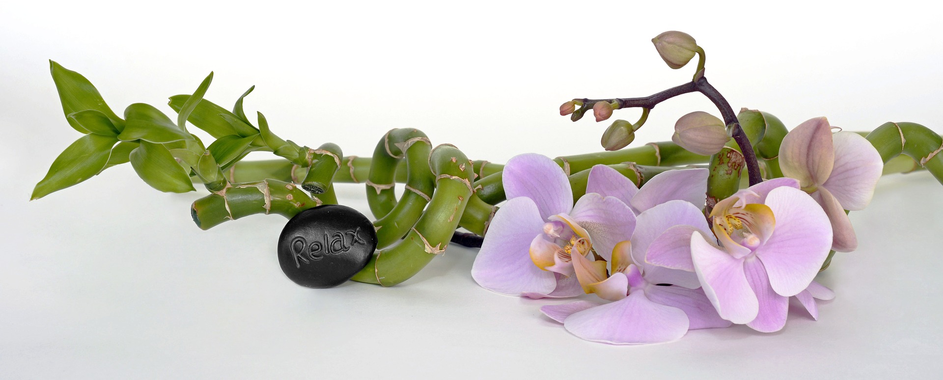 orchid-2115260-1920